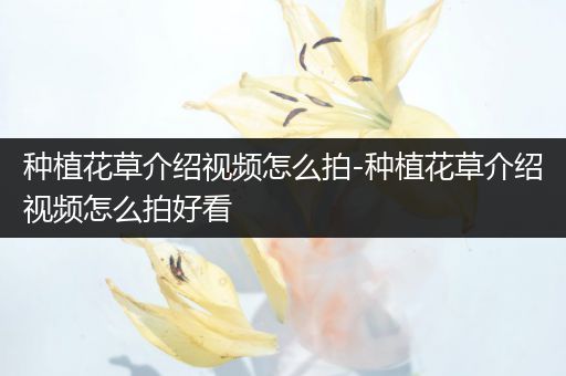 种植花草介绍视频怎么拍-种植花草介绍视频怎么拍好看