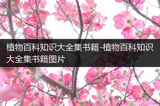 植物百科知识大全集书籍-植物百科知识大全集书籍图片