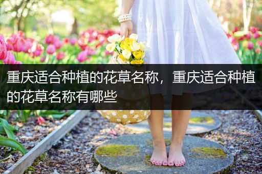 重庆适合种植的花草名称，重庆适合种植的花草名称有哪些