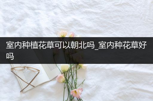 室内种植花草可以朝北吗_室内种花草好吗