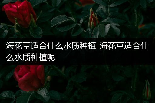 海花草适合什么水质种植-海花草适合什么水质种植呢