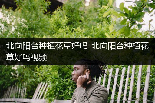北向阳台种植花草好吗-北向阳台种植花草好吗视频