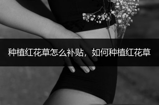种植红花草怎么补贴，如何种植红花草