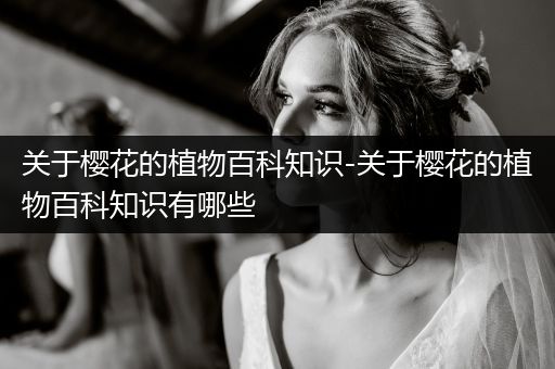 关于樱花的植物百科知识-关于樱花的植物百科知识有哪些