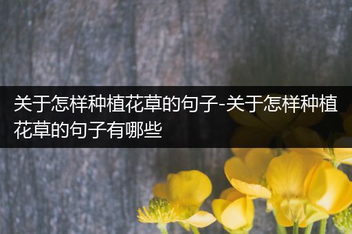 关于怎样种植花草的句子-关于怎样种植花草的句子有哪些