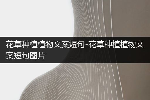 花草种植植物文案短句-花草种植植物文案短句图片