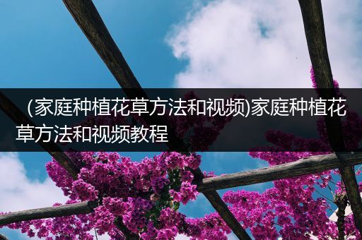 （家庭种植花草方法和视频)家庭种植花草方法和视频教程