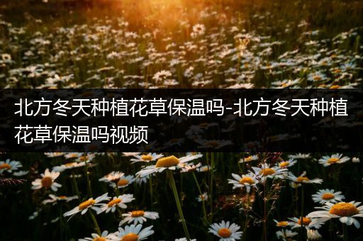 北方冬天种植花草保温吗-北方冬天种植花草保温吗视频