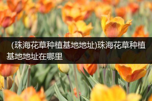 （珠海花草种植基地地址)珠海花草种植基地地址在哪里
