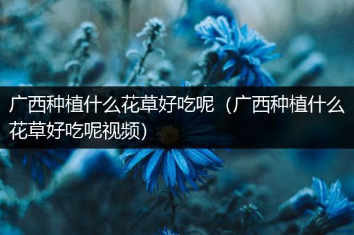 广西种植什么花草好吃呢（广西种植什么花草好吃呢视频）