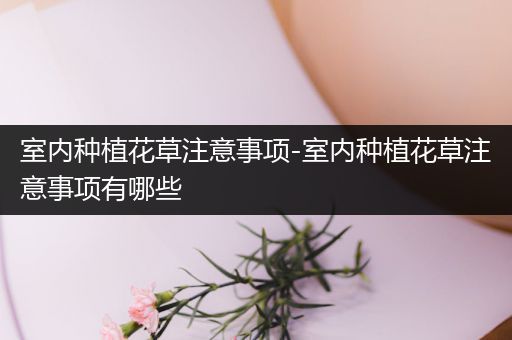 室内种植花草注意事项-室内种植花草注意事项有哪些