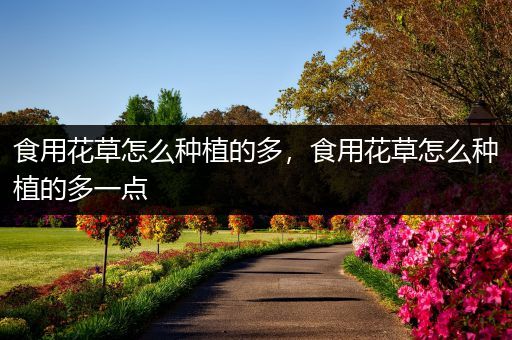 食用花草怎么种植的多，食用花草怎么种植的多一点