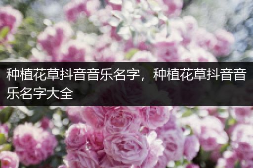 种植花草抖音音乐名字，种植花草抖音音乐名字大全