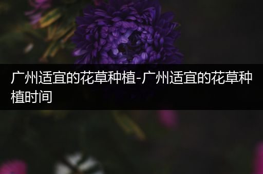 广州适宜的花草种植-广州适宜的花草种植时间