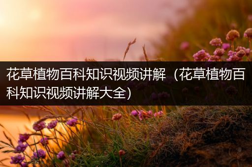 花草植物百科知识视频讲解（花草植物百科知识视频讲解大全）