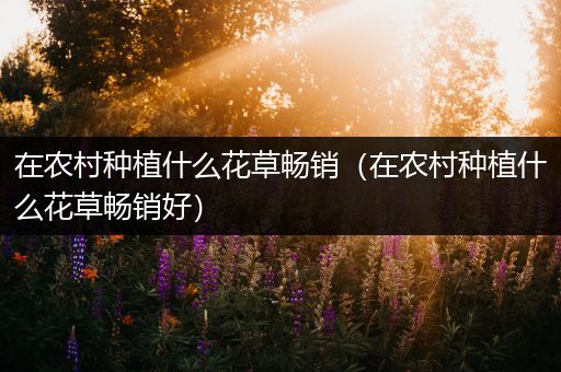 在农村种植什么花草畅销（在农村种植什么花草畅销好）