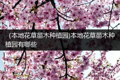 （本地花草苗木种植园)本地花草苗木种植园有哪些