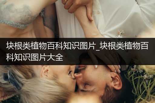 块根类植物百科知识图片_块根类植物百科知识图片大全