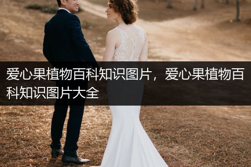 爱心果植物百科知识图片，爱心果植物百科知识图片大全