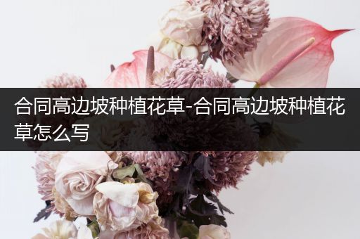 合同高边坡种植花草-合同高边坡种植花草怎么写