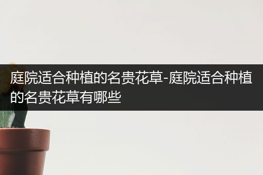 庭院适合种植的名贵花草-庭院适合种植的名贵花草有哪些
