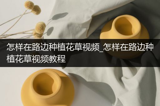 怎样在路边种植花草视频_怎样在路边种植花草视频教程