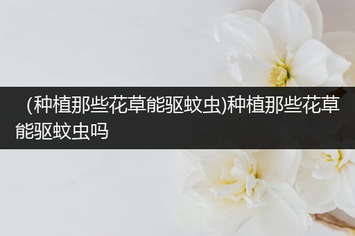 （种植那些花草能驱蚊虫)种植那些花草能驱蚊虫吗