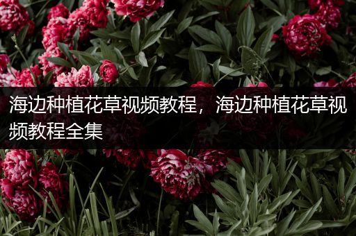 海边种植花草视频教程，海边种植花草视频教程全集
