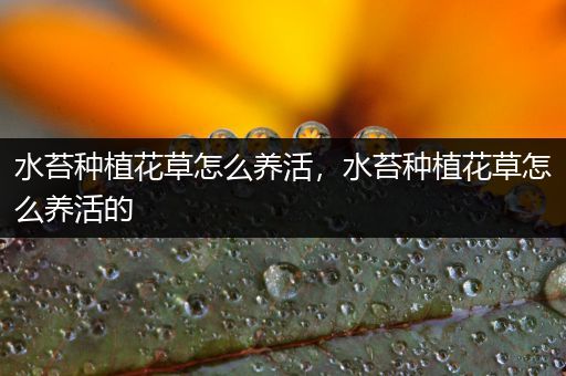 水苔种植花草怎么养活，水苔种植花草怎么养活的