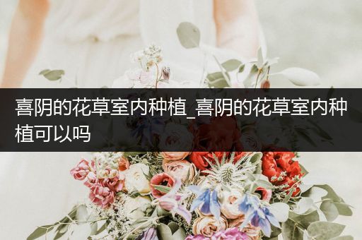 喜阴的花草室内种植_喜阴的花草室内种植可以吗