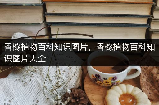 香橼植物百科知识图片，香橼植物百科知识图片大全