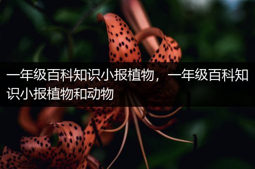 一年级百科知识小报植物，一年级百科知识小报植物和动物
