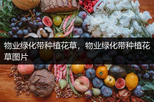 物业绿化带种植花草，物业绿化带种植花草图片
