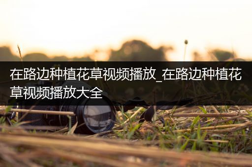在路边种植花草视频播放_在路边种植花草视频播放大全