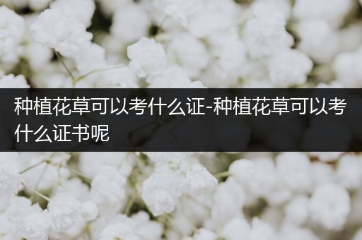 种植花草可以考什么证-种植花草可以考什么证书呢