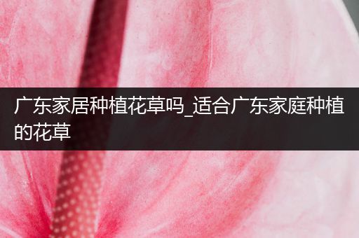 广东家居种植花草吗_适合广东家庭种植的花草