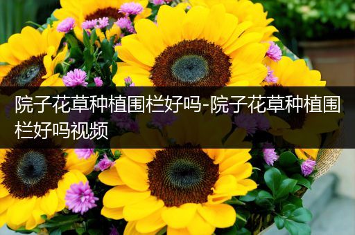 院子花草种植围栏好吗-院子花草种植围栏好吗视频