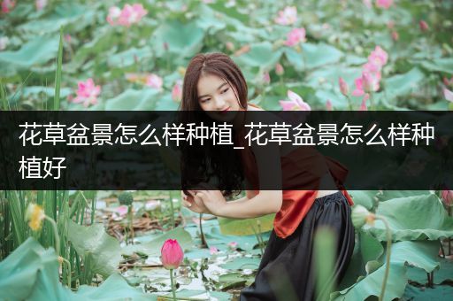 花草盆景怎么样种植_花草盆景怎么样种植好