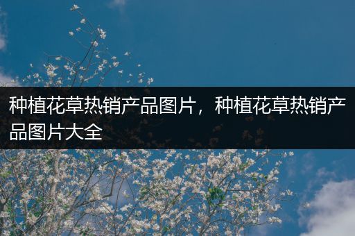种植花草热销产品图片，种植花草热销产品图片大全
