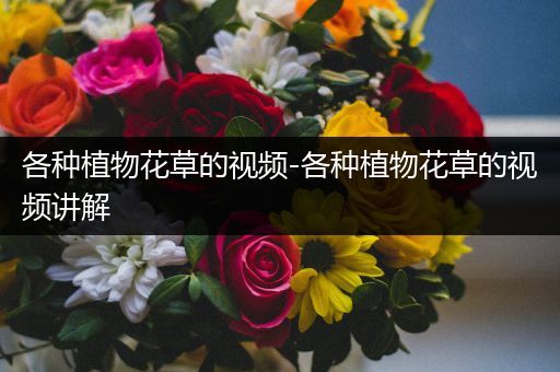 各种植物花草的视频-各种植物花草的视频讲解