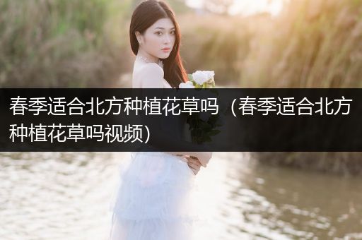 春季适合北方种植花草吗（春季适合北方种植花草吗视频）