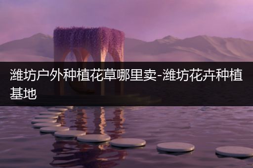 潍坊户外种植花草哪里卖-潍坊花卉种植基地