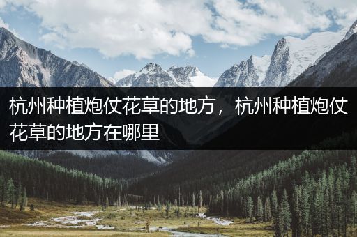 杭州种植炮仗花草的地方，杭州种植炮仗花草的地方在哪里