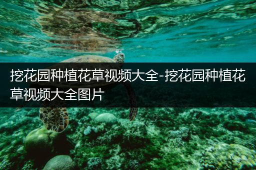 挖花园种植花草视频大全-挖花园种植花草视频大全图片