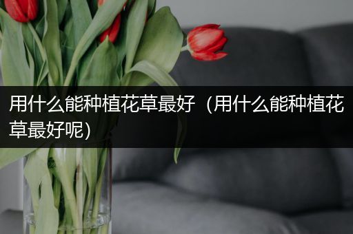 用什么能种植花草最好（用什么能种植花草最好呢）