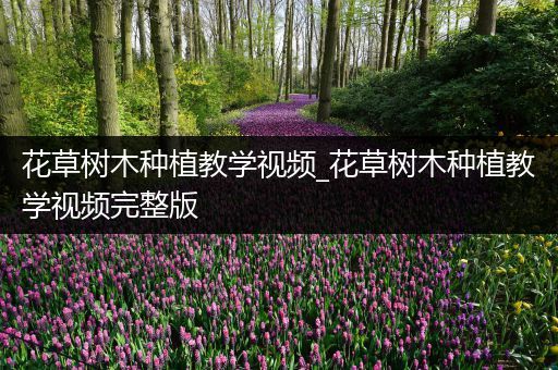 花草树木种植教学视频_花草树木种植教学视频完整版