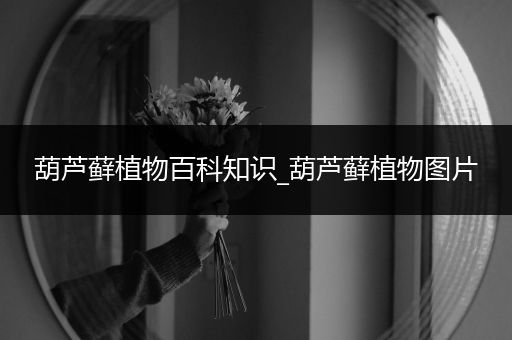 葫芦藓植物百科知识_葫芦藓植物图片