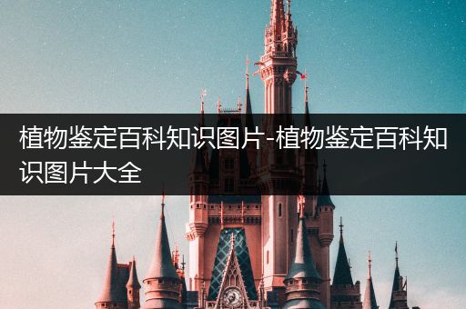 植物鉴定百科知识图片-植物鉴定百科知识图片大全