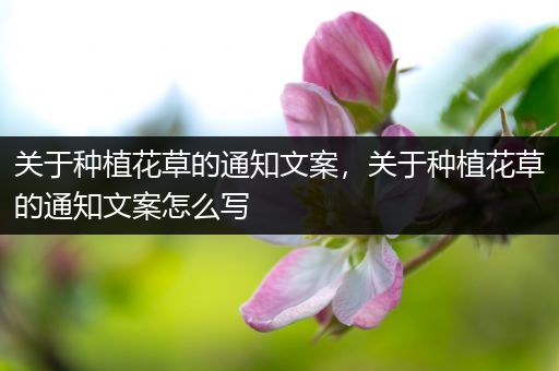 关于种植花草的通知文案，关于种植花草的通知文案怎么写