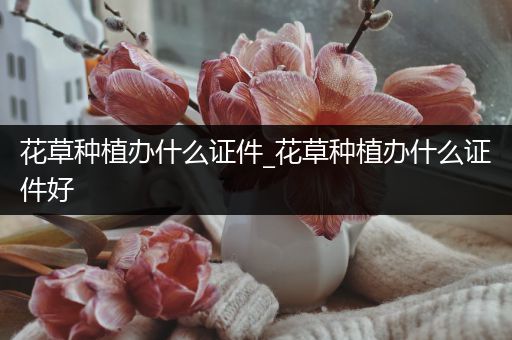 花草种植办什么证件_花草种植办什么证件好